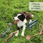 KMYLINKER Puppy Dog Pet Rope Toys Dog Chew Toys for Small Dogs Teething, Tug of War Play Dog Toys for Aggressive Chewer,5-Pack