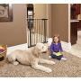 MidWest Homes for Pets Steel Pet Gate | Pet Safety Gate; 29" & 39" Tall in Soft White or Textured Graphite
