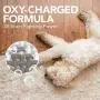 Simple Solution Oxy Charged Pet Stain and Odor Remover | Eliminates Pet Stains and Odors with 3X Cleaning Power