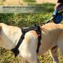 Petacc Dog Harness No-Pull Pet Harness Adjustable Pet Reflective Vest Dog Walking Harness with D-Ring Buckle and Handle for Small Medium Large Dogs