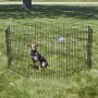 MidWest Homes for Pets Folding Metal Exercise Pen/Pet Playpen