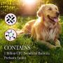 Nutri-Vet Pre and Probiotic Soft Chews for Dogs | Digestive Health Support Dog Probiotics | Tasty Alternative to Dog Probiotic Powder | 120 Soft Chews