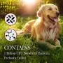 Nutri-Vet Pre and Probiotic Soft Chews for Dogs | Digestive Health Support Dog Probiotics | Tasty Alternative to Dog Probiotic Powder | 120 Soft Chews