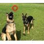 Freezable Dog Chew Toys for Teething Dogs - Lifetime Replacement Guarantee - All Natural Rubber Puppy Teether Cooling Toys for Small/Medium Puppies, Perfect Training Pool Floating Chew Ring Toys Freezable Dog Chew Toys for Teething Dogs - Lifetime Replacement Guarantee - All Natural Rubber Puppy Teether Cooling Toys for Small/Medium Puppies, Perfect Training Pool Floating Chew Ring Toys