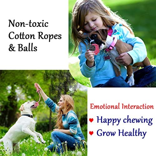 Adoya Dog Rope Toys 10 Pack Puppy Teething Chew Toy for Large Medium Small Dogs Breeds, Dog Toy Gift Set