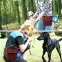 PetAmi Dog Treat Pouch | Dog Training Pouch Bag with Waist Shoulder Strap, Poop Bag Dispenser and Collapsible Bowl | Treat Training Bag for Treats, Kibbles, Pet Toys | 3 Ways to Wear PetAmi Dog Treat Pouch | Dog Training Pouch Bag with Waist Shoulder Strap, Poop Bag Dispenser and Collapsible Bowl | Treat Training Bag for Treats, Kibbles, Pet Toys | 3 Ways to Wear