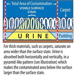 Stink Free Instantly Urine Odor Remover & Eliminator for Cat Urine, Oxidizer Based Urine Cleaner for Carpets, Rugs, Mattress, etc. 128 Oz (1 Gallon)