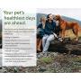 PRO-Pets Probiotics for Dogs and Cats: Time Release Probiotic for Your Companions Health (Dog or cat) - Very Easy to Swallow - 6 Strains - 15x More Effective Than Others - Top Supplement for Pets