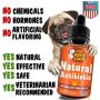 GOODGROWLIES Natural Antibiotic for Dogs and Cats - Kennel Cough Medicine for Pets - Immune System Booster - Allergy Relief Health Supplement - UTI Treatment - Made in USA - 2oz