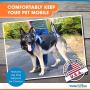 Walkin Lift Full Support Dog Harness for Medium Dogs 50-69 lbs | Lift Support Harness Helps Dogs with Arthritis, Senior Dogs and Pets Recovering from Surgery