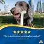 Bullibone Nylon Dog Chew Toy Nylon Bone - Improves Dental Hygiene, Easy to Grip Bottom, and Permeated with Flavor