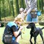 PetAmi Dog Treat Pouch | Dog Training Pouch Bag with Waist Shoulder Strap, Poop Bag Dispenser and Collapsible Bowl | Treat Training Bag for Treats, Kibbles, Pet Toys | 3 Ways to Wear