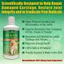 Concentrated Liquid Glucosamine for Dogs ? Advanced Hip and Joint Supplement with Chondroitin, MSM, Hyaluronic Acid and More ? Safe & Natural Arthritis Pain Relief for Dogs ? 32 oz Bottle ? Made in USA! ?!