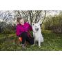 RC Pet Products Pocket Pet First Aid Kit