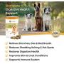 POINTPET Probiotics for Dogs - Natural Probiotic Supplement with Prebiotics, Relief from Diarrhea, Dry and Itchy Skin, Gas, Constipation, Allergies - Digestive and Immune Support, 120 Soft Chews