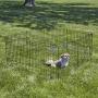 MidWest Homes for Pets Folding Metal Exercise Pen/Pet Playpen