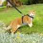 AVCCAVA Kitten Harness with Leash for Walking, Escape Proof Soft Cat Harnesses Easy Adjustable Vest Breathable Pet Safety Jacket with 1 Reflective Towing Leash