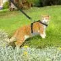 AVCCAVA Kitten Harness with Leash for Walking, Escape Proof Soft Cat Harnesses Easy Adjustable Vest Breathable Pet Safety Jacket with 1 Reflective Towing Leash AVCCAVA Kitten Harness with Leash for Walking, Escape Proof Soft Cat Harnesses Easy Adjustable Vest Breathable Pet Safety Jacket with 1 Reflective Towing Leash