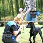 PetAmi Dog Treat Pouch | Dog Training Pouch Bag with Waist Shoulder Strap, Poop Bag Dispenser and Collapsible Bowl | Treat Training Bag for Treats, Kibbles, Pet Toys | 3 Ways to Wear