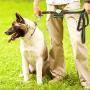 Paw Lifestyles Dog Poop Bag Holder Leash Attachment - Fits Any Dog Leash - Includes Free Roll of Dog Bags – Poop Bag Dispenser