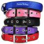 Downtown Pet Supply Deluxe Adjustable Thick Dog Collar, (Blue, Red, Black, Purple, Pink - Small, Medium, Large, or X-Large)