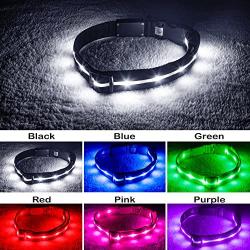 Blazin Safety LED Dog Collar – USB Rechargeable with Water Resistant Flashing Light