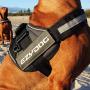 EzyDog Convert Trail-Ready Dog Harness