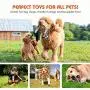 PRAJNAY Dog Squeaky Toys No Stuffing, 5 Pack Crinkle Pet Chew Toys Funny Animal Interactive Plush Puppy Toys Set for Small Medium Large Dogs