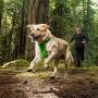 RUFFWEAR 3050-815S Front Range, Everyday No Pull Dog Harness with Front Clip, Trail Running, Walking, Hiking, All-Day Wear, Campfire Orange, Small