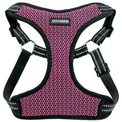 Voyager Step-In Flex Dog Harness - All Weather Mesh, Step In Adjustable Harness for Small and Medium Dogs by Best Pet Supplies