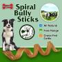 Gigabite Odor-Free Spiral Bully Sticks – USDA & FDA Certified, All Natural Free Range Beef Pizzle, Curly Bully Spring Dog Treat