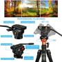Fluid Head Tripod, COMAN Video Tripod Aluminium Alloy 70.8 inch for Canon Nikon Sony DSLR Camera