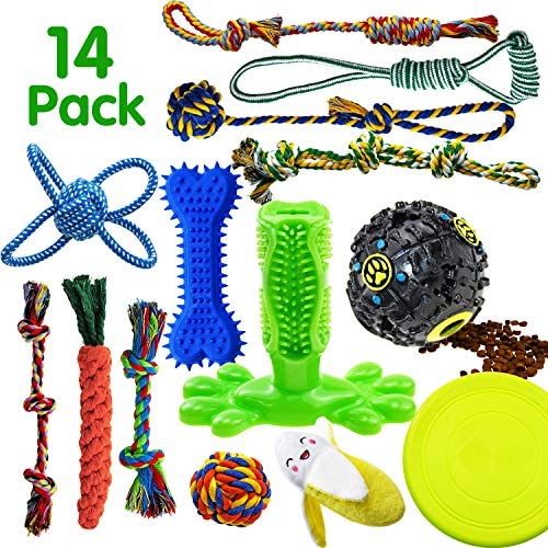 SHARLOVY Dog Chew Toys for Puppies Teething, 14 Pack Dog Rope Toys Tug of War Dog Toy Bundle Toothbrush iq Treat Ball Squeaky Rubber Bone Durable Dog Chew Toys for Small Dogs Pet Toys Puppy Toys SHARLOVY Dog Chew Toys for Puppies Teething, 14 Pack Dog Rope Toys Tug of War Dog Toy Bundle Toothbrush iq Treat Ball Squeaky Rubber Bone Durable Dog Chew Toys for Small Dogs Pet Toys Puppy Toys