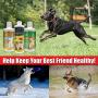 Concentrated Liquid Glucosamine for Dogs ? Advanced Hip and Joint Supplement with Chondroitin, MSM, Hyaluronic Acid and More ? Safe & Natural Arthritis Pain Relief for Dogs ? 32 oz Bottle ? Made in USA! ?!